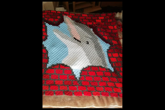 Hole in Wall & Dolphin C2c Pattern Throw: Everything You Need to Know