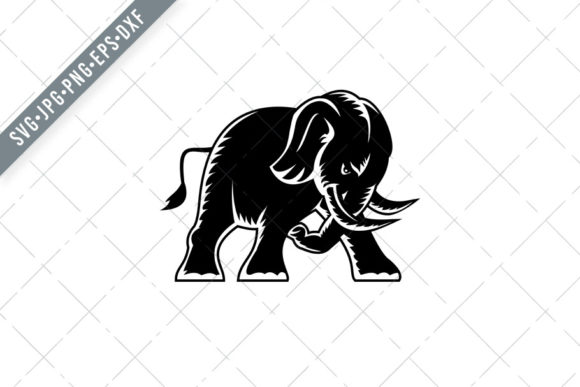 Understanding the Angry Elephant Charging and Attacking: Beyond the Wild Encounter